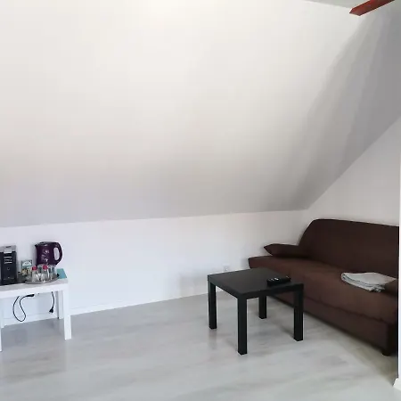 Apartment Casa J. Gusbeth Brasov